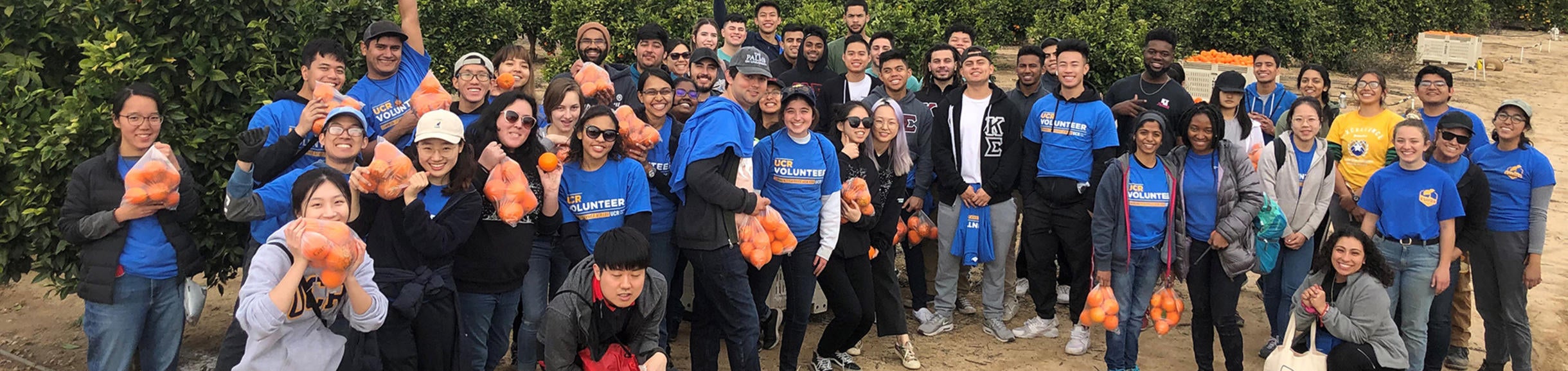 volunteers holding oranges on Martin Luther King Volunteer Day