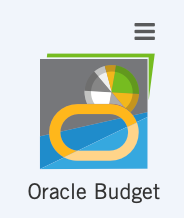 Oracle Budget Icon