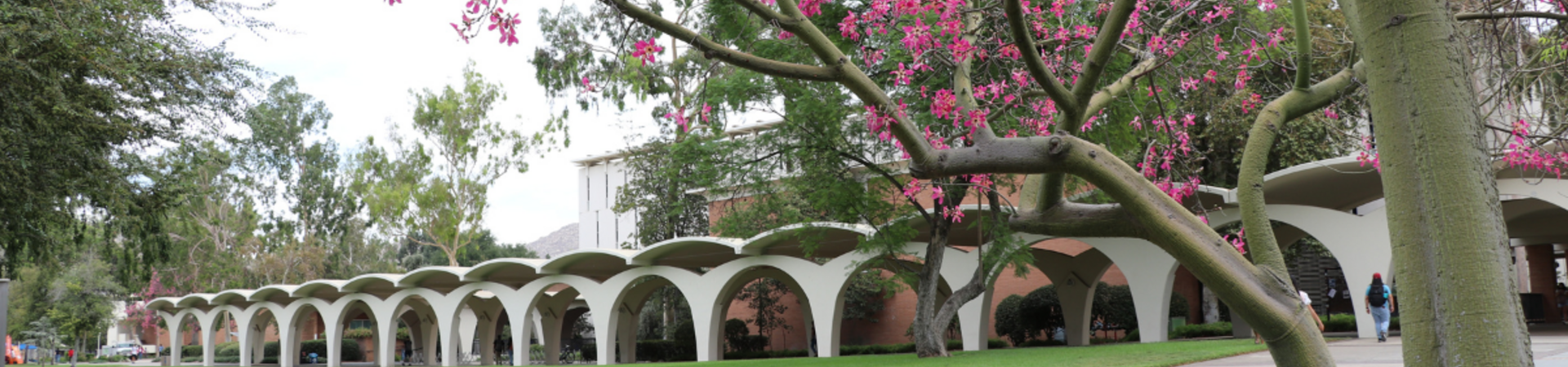 2022 Community Partner Fair