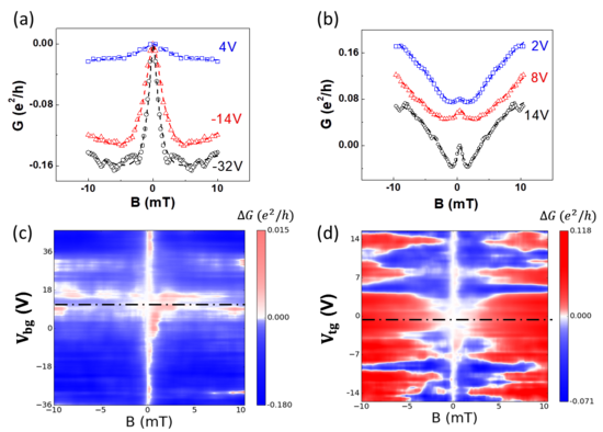 Graphene-TMD heterostructures