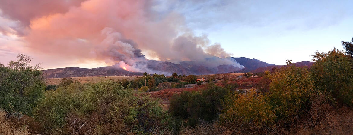 Brushfire on a California hillside in 2020 - by Ross French