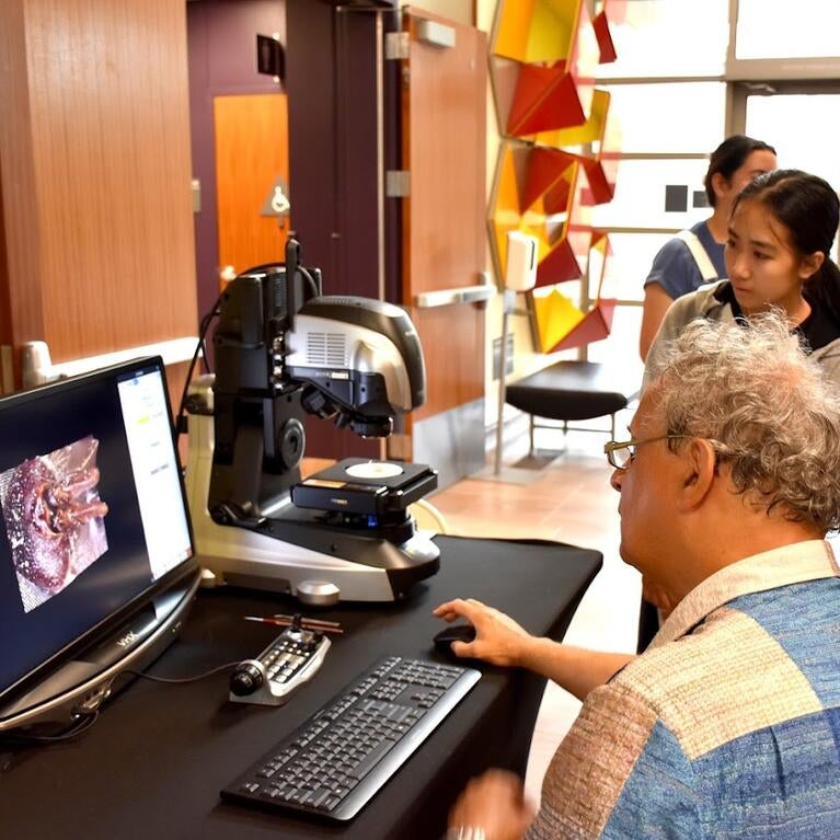 demonstrating a microscope