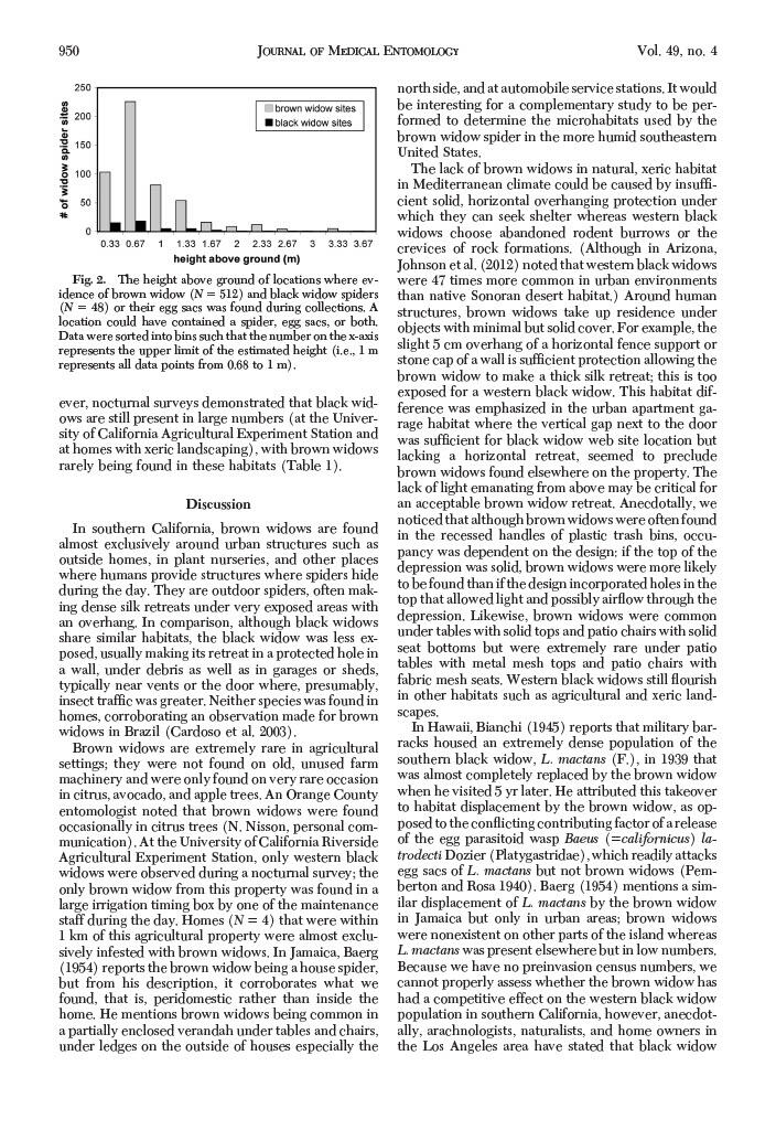 prevalence of brown widow 4
