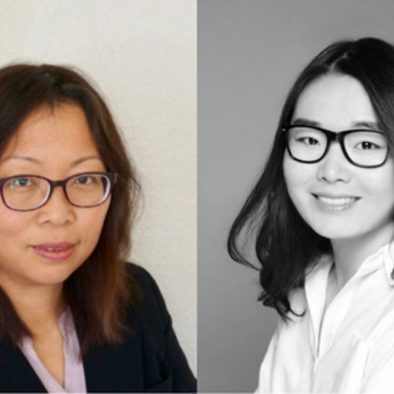 Professors Qingfang Wang and Ran Wei
