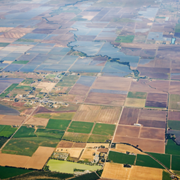 An aerial of farm land and housing