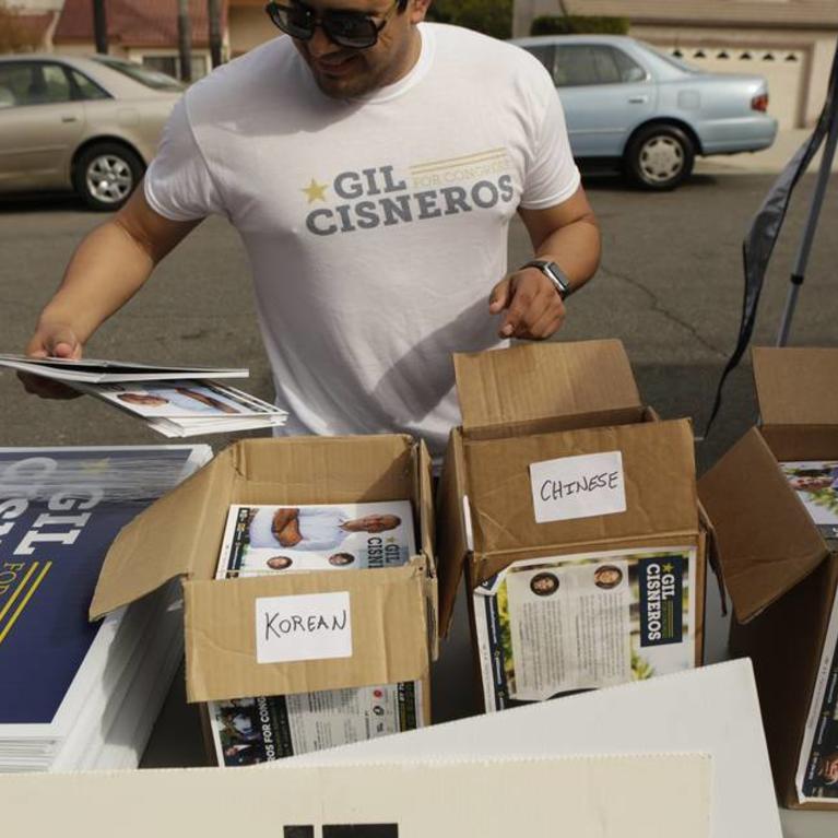 Asian American Voters