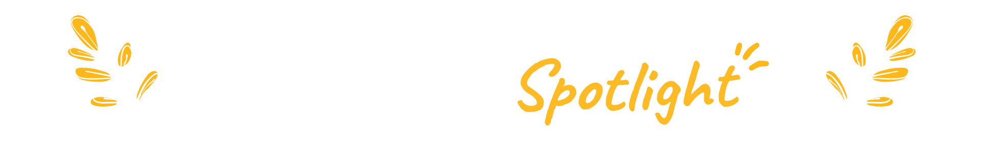 Graphic of December Alumni Spotlight Title