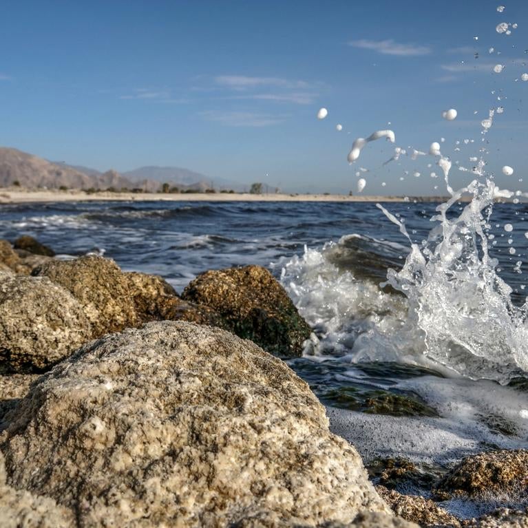 Salton Sea