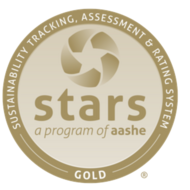 Stars Badge