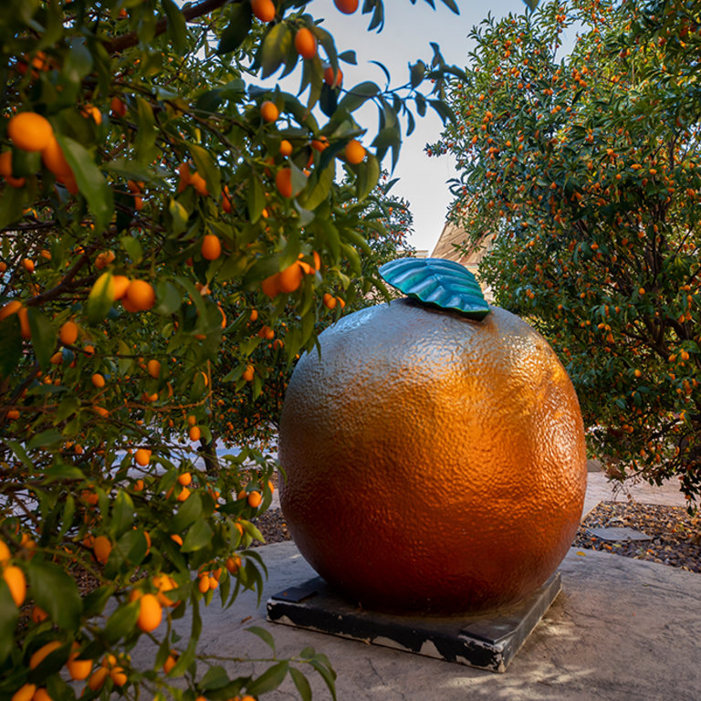 A statue of an orange on the UCR campus