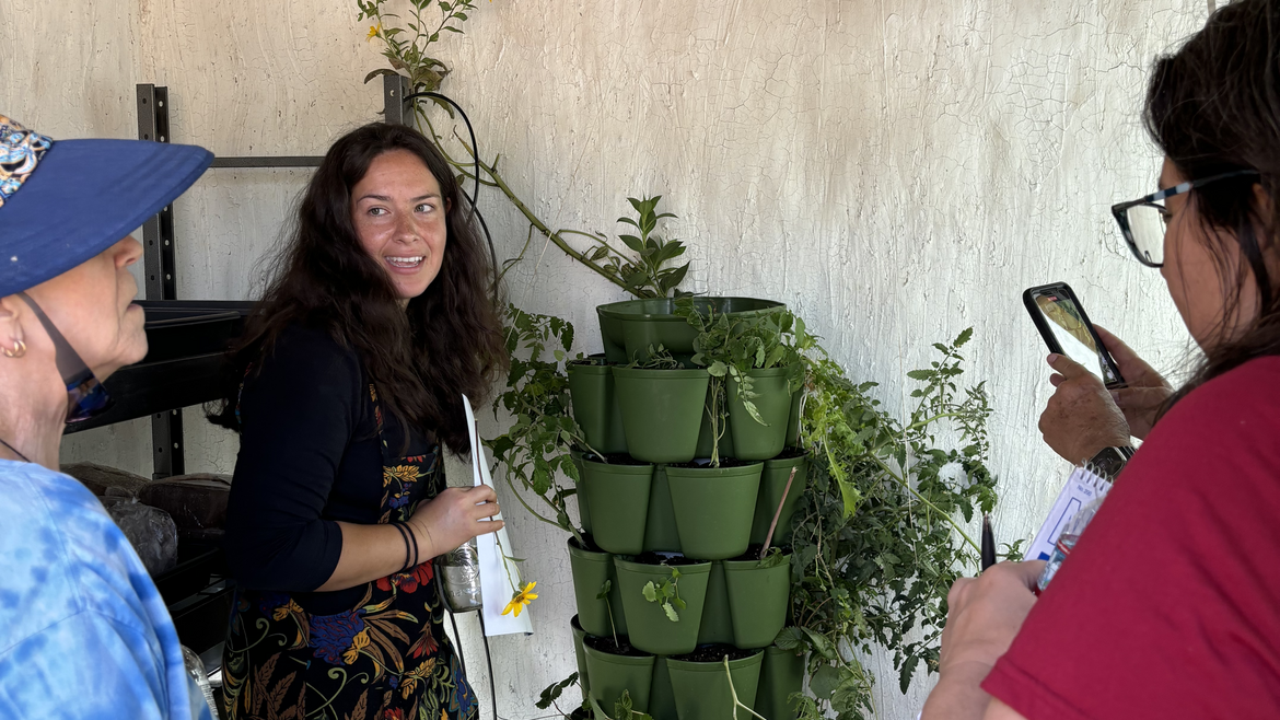 From The Land_Littlest Big Farm_Open Day