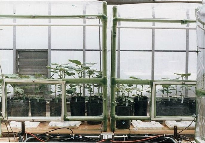 Elevated CO2 Chambers