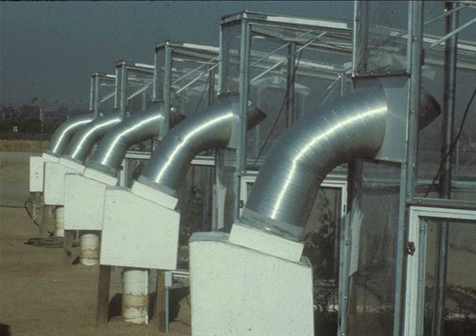 Ozone Fumigation Chambers