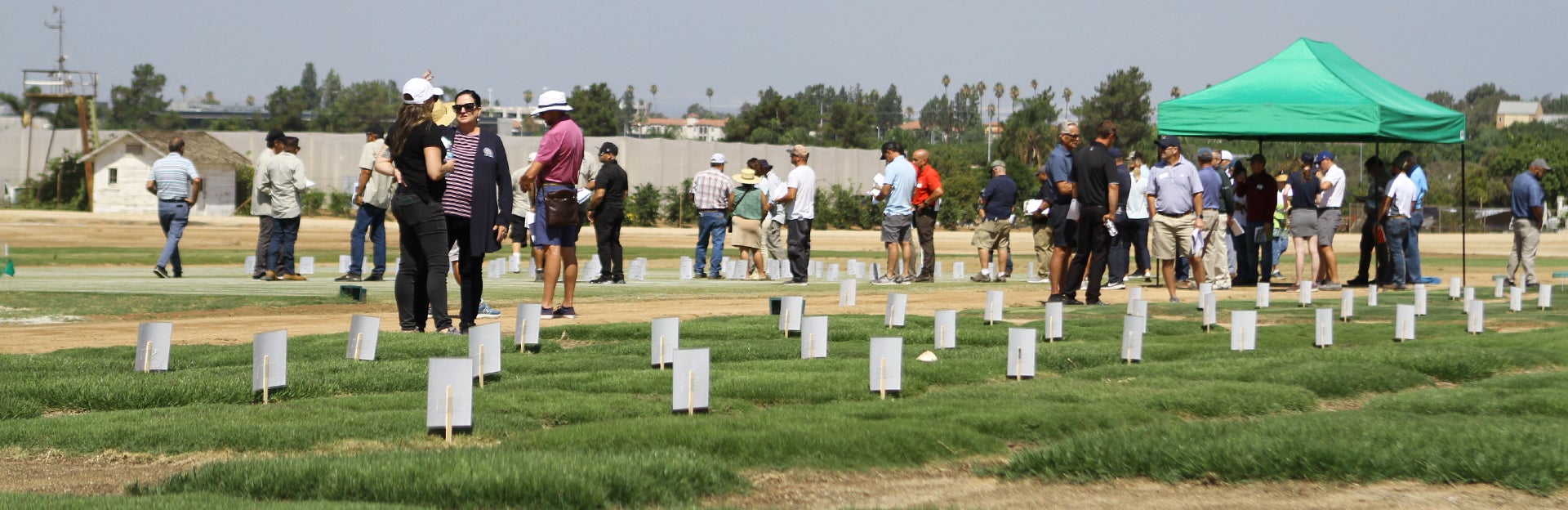 2025 Turfgrass and Landscape Research Field Day