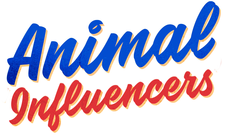 Animal Influencers