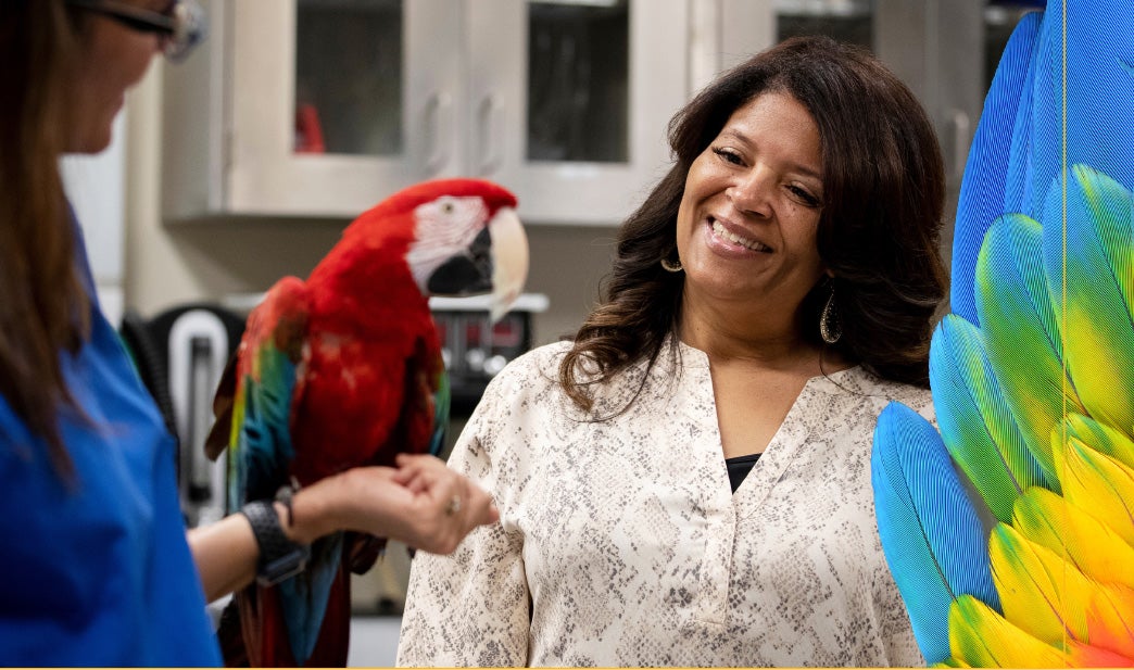 Verret with a parrot