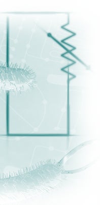 Biofuel illustration