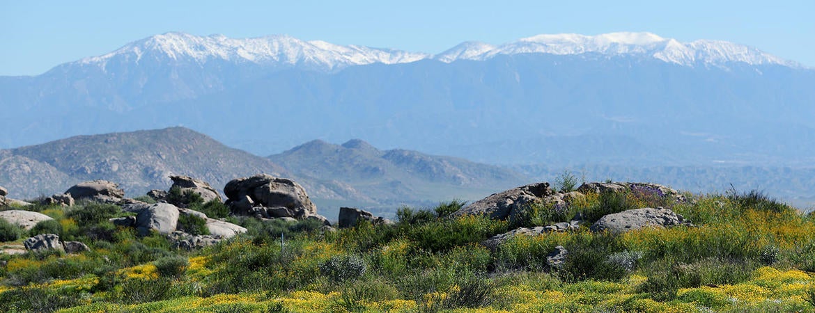 Motte Rimrock snow capped mountains (c) Mark Cappell