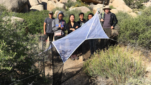 People with net outside with boulders and plants