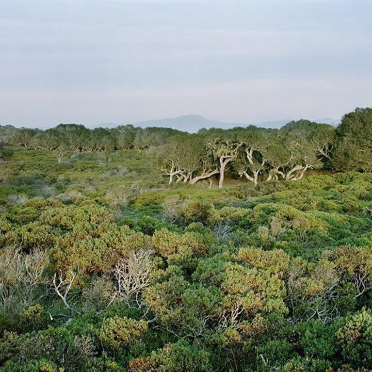 Fort Ord Natural Reserve
