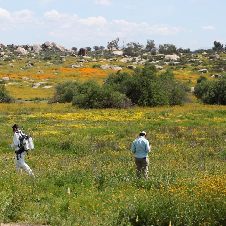 Field trip to Motte Rimrock Reserve