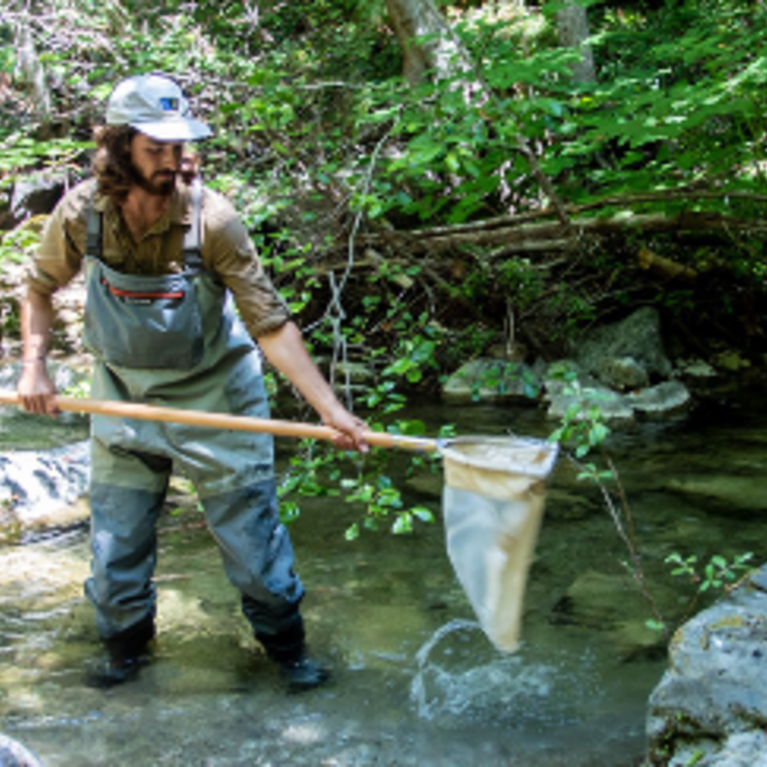 person standing in river with net