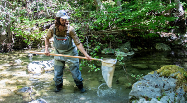 person standing in river with net