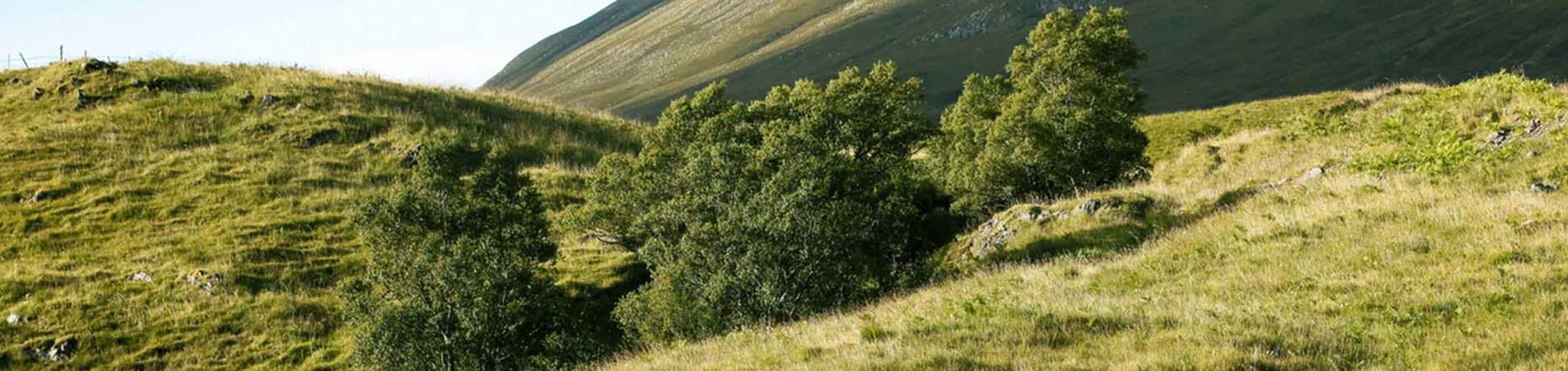 Emerson Oakes banner image / unsplash.com