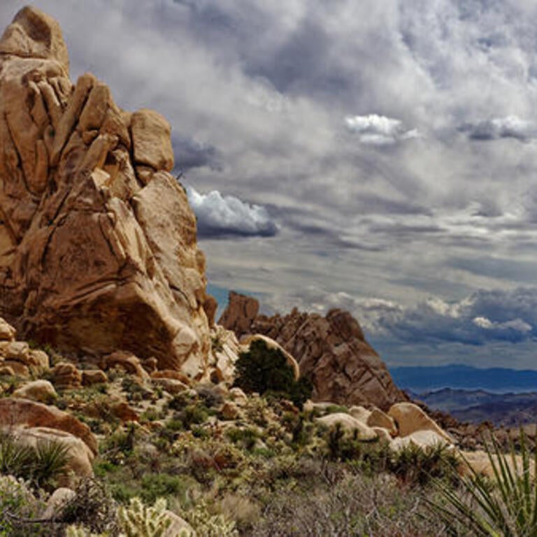 Jack and Marilyn Sweeney Granite Mountains UCR Natural Reserve (c) Douglas Stinson