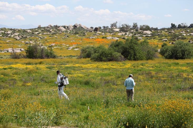 Field trip to Motte Rimrock Reserve
