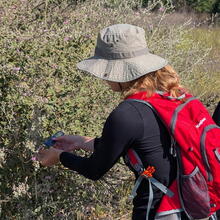 Intern conducting field research