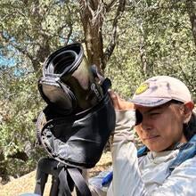 Intern looking through a spotting scope for cone counting in a forest.