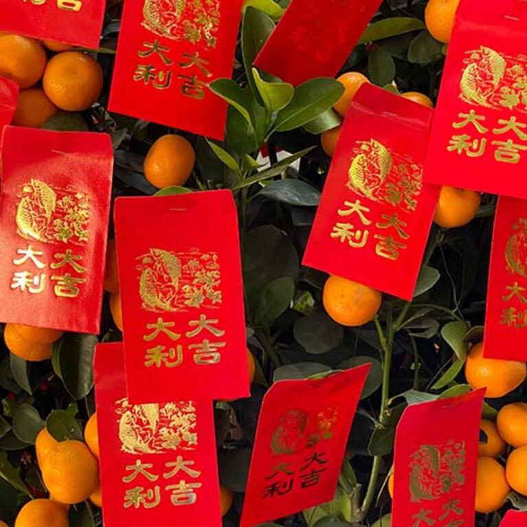 Red Envelope Tree
