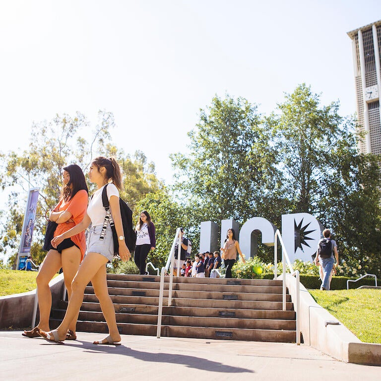 grad school application essays page banner