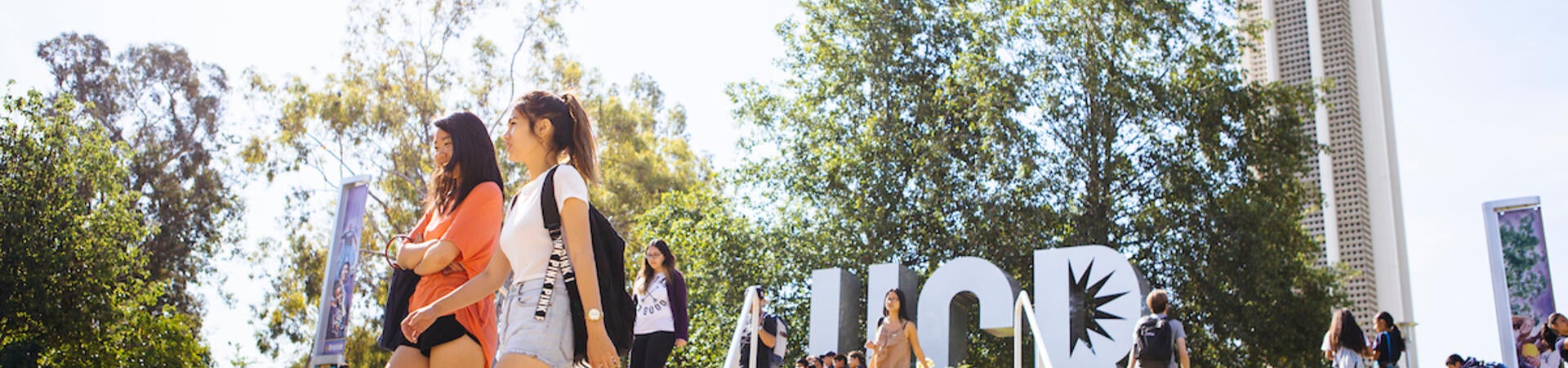 Grad School Application Essays banner