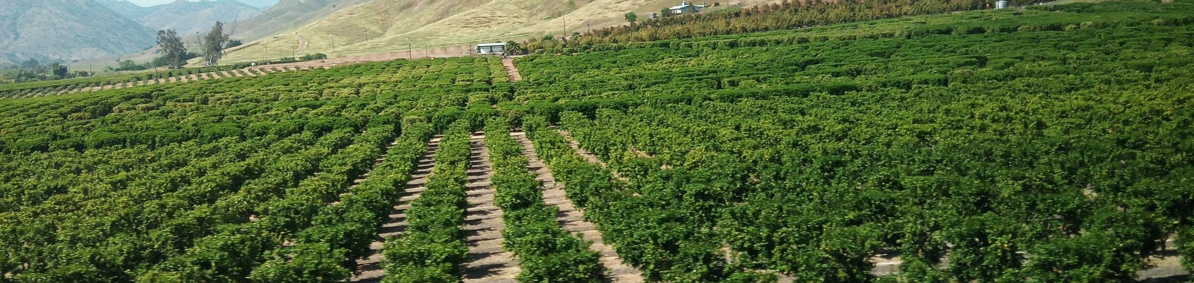 Climate Change Picture