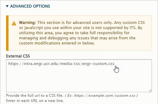 screenshot of advanced options