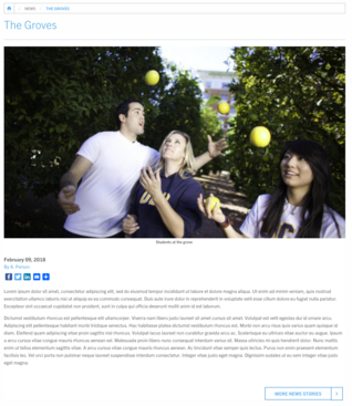 Individual Article Example