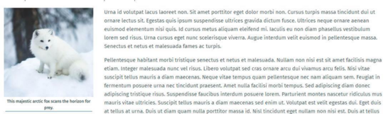 caption the same width of graphic with lorem ipsum text for context