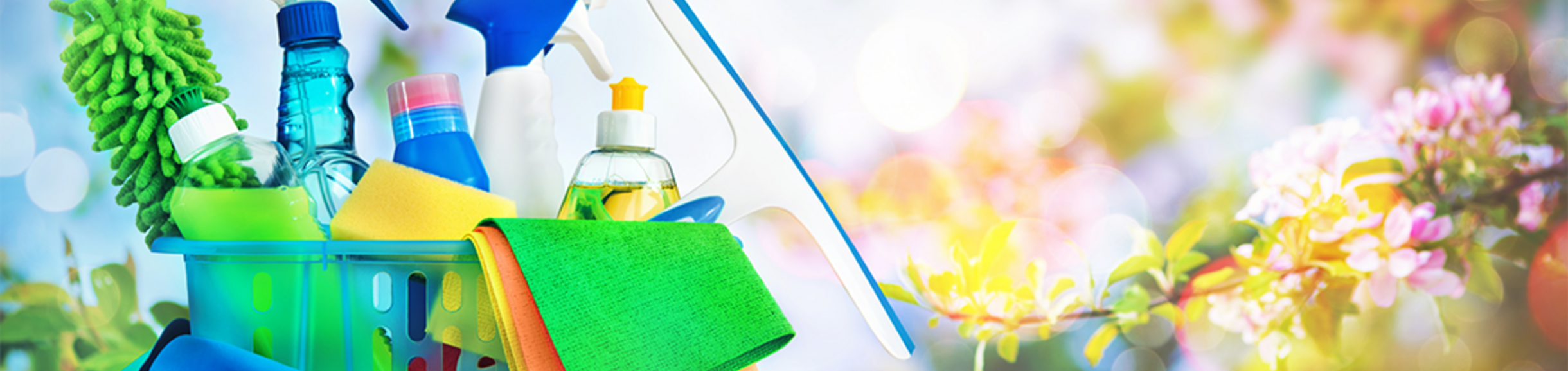 Cleaning supplies in a bucket