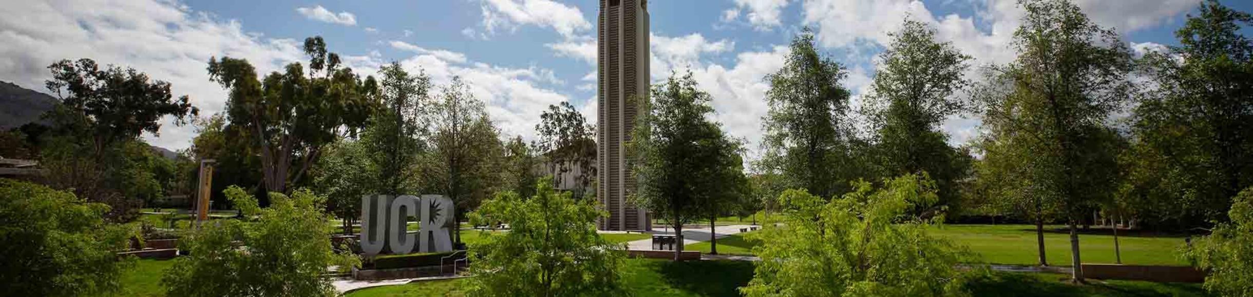 UCR campus green