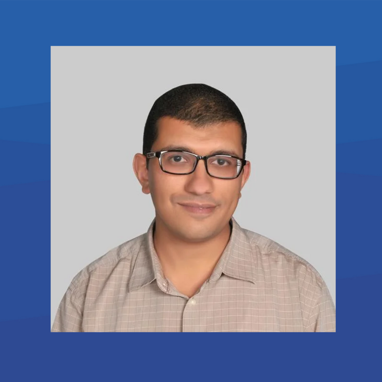 CSE Professor Amr Magd