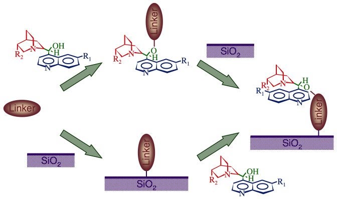proj03fig9-cd-anchoring
