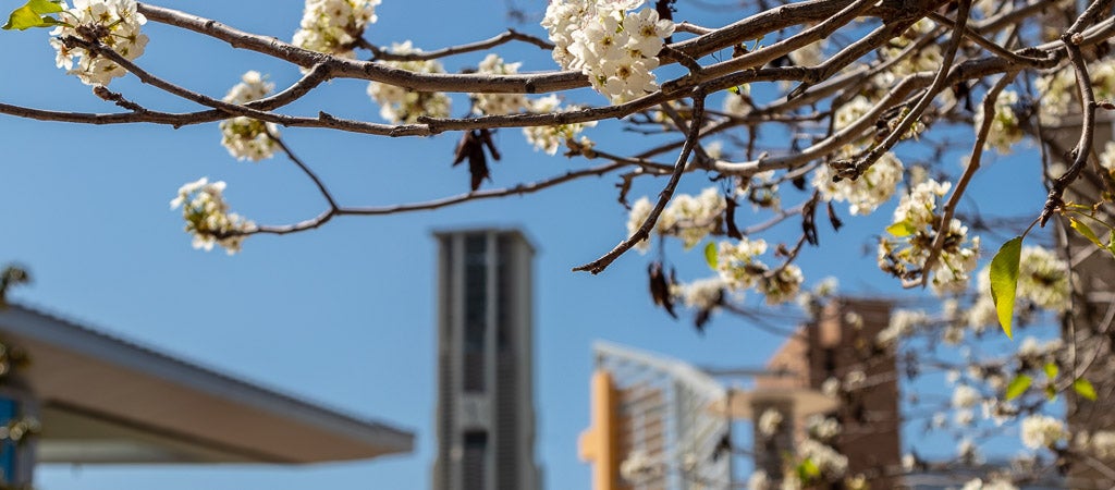 UC Riverside Calendar