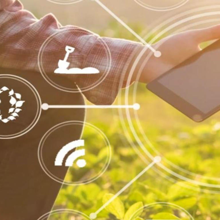 holding a tablet in a field
