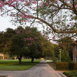 Thumbnail for button