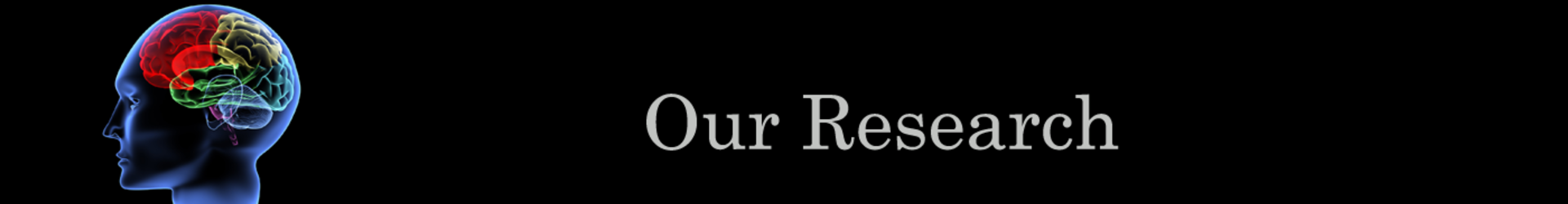 Our Research