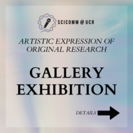 AEOR Gallery Exhibition