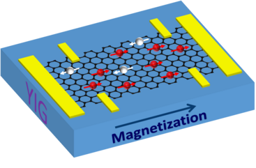 Ferromagnetic graphene