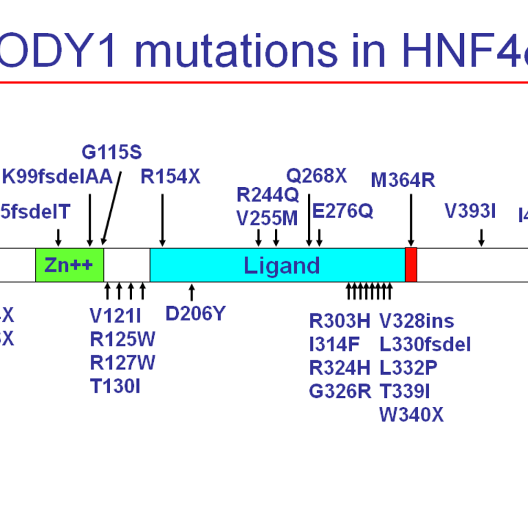 HNF4-fig7-mody1-mutations